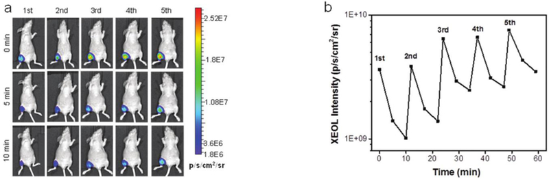 Figure 13