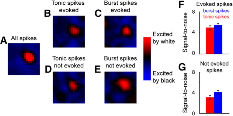 Figure 11.