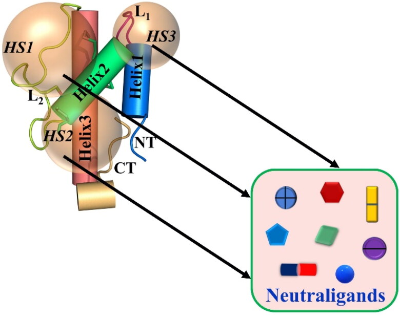 Figure 2.