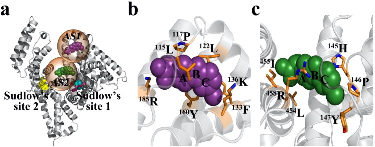 Figure 4.