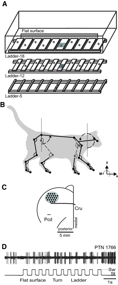 Fig. 1.