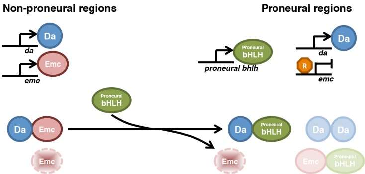 Figure 9.