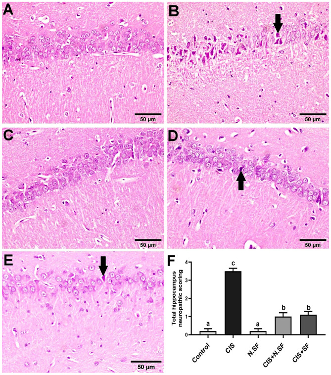 Fig. 11