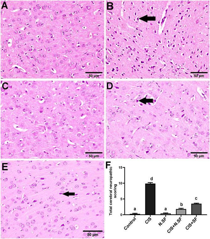 Fig. 9