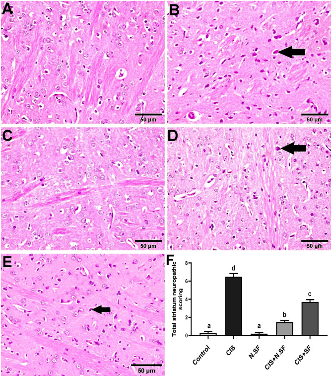 Fig. 10