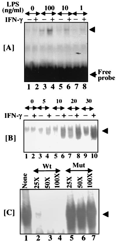 FIG. 1