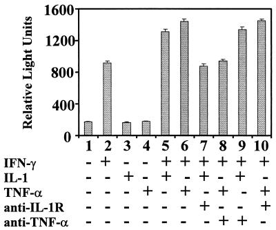 FIG. 6