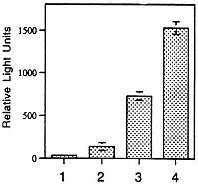 FIG. 5