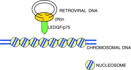 FIG. 3.