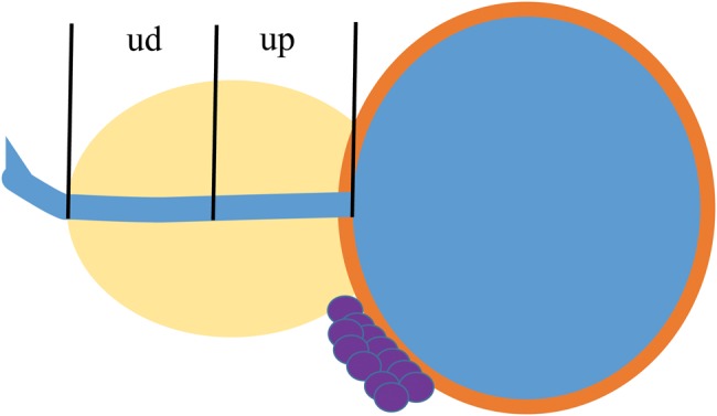 Fig. 1.