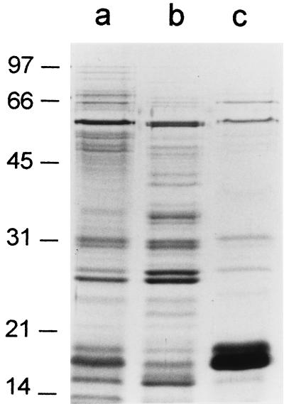 FIG. 6