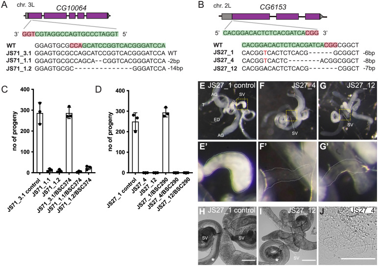 Fig 6