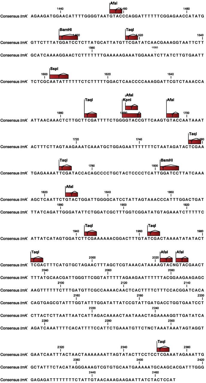 Figure 3.