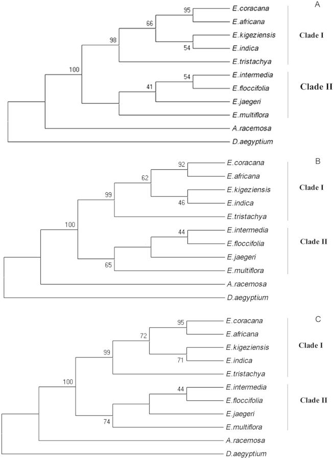 Figure 4.