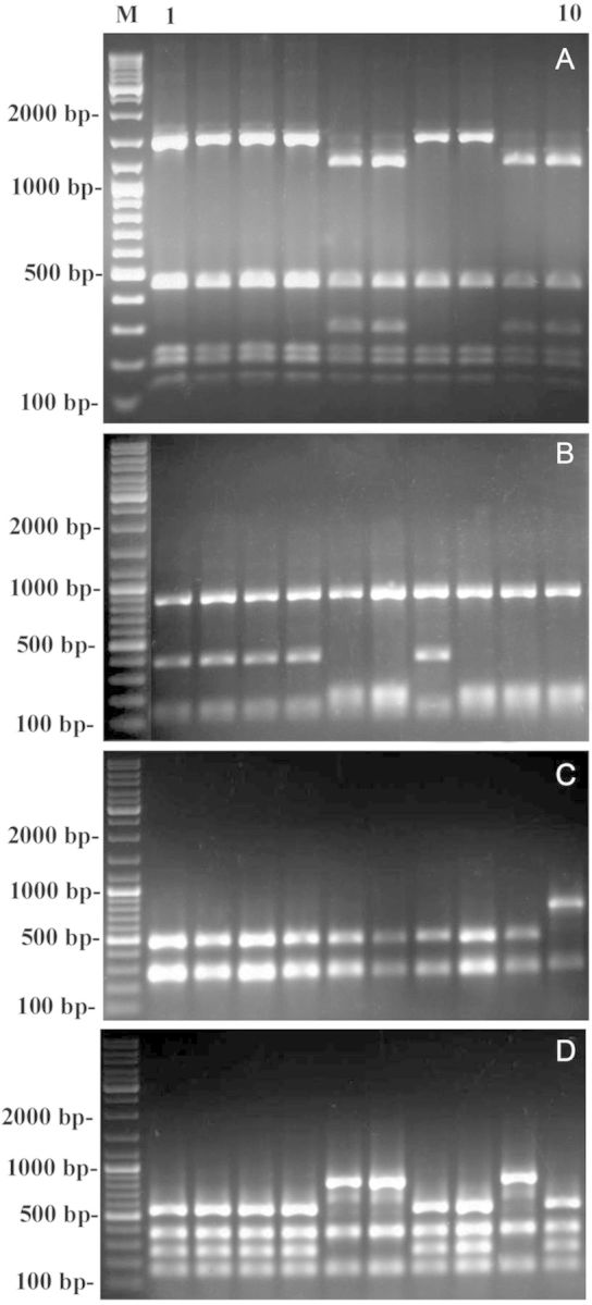 Figure 1.