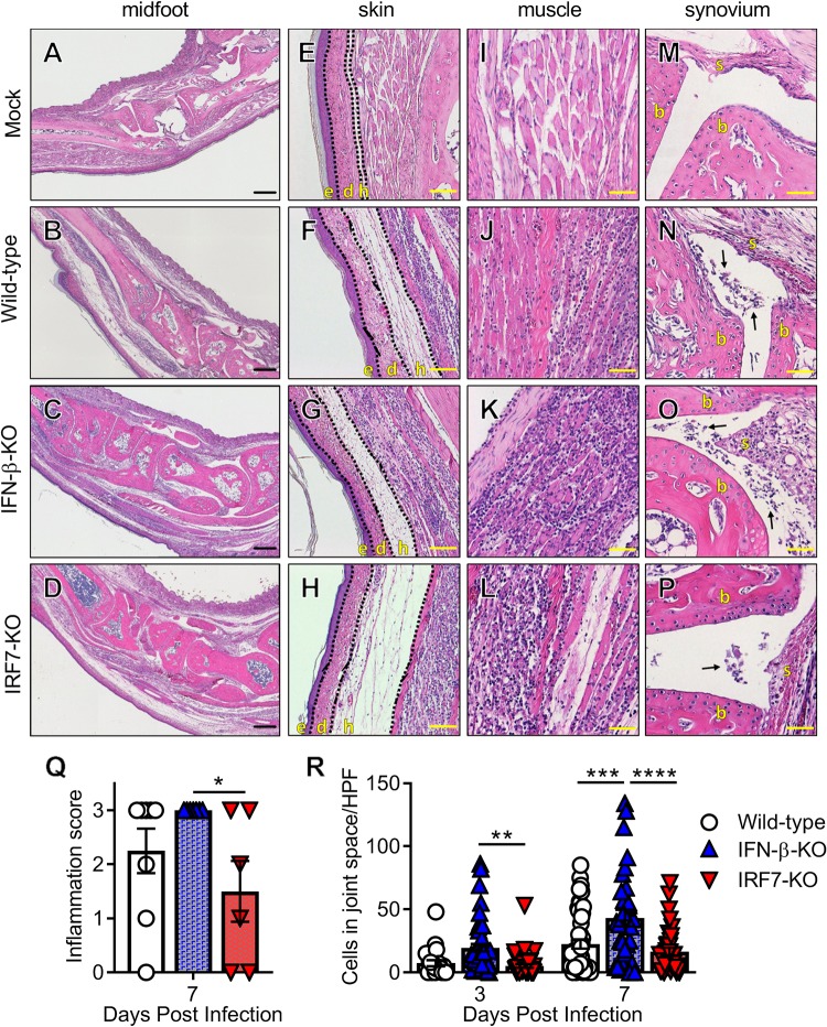 FIG 4