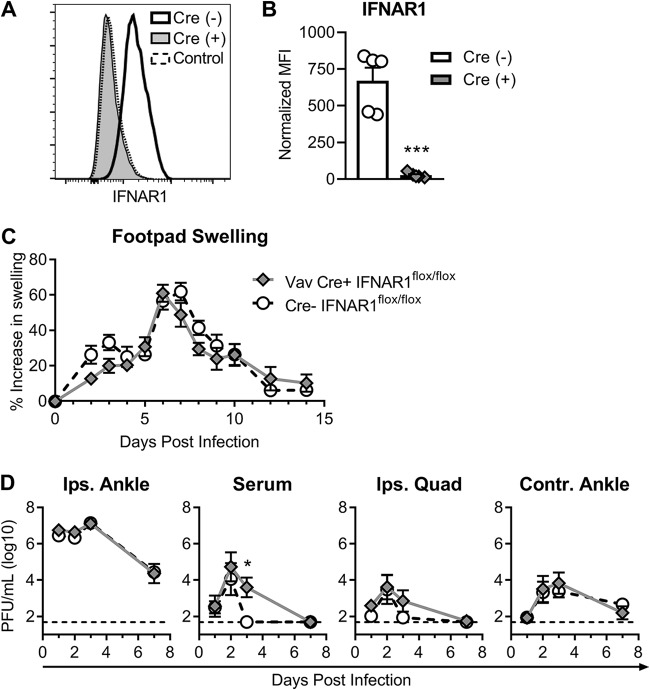 FIG 3