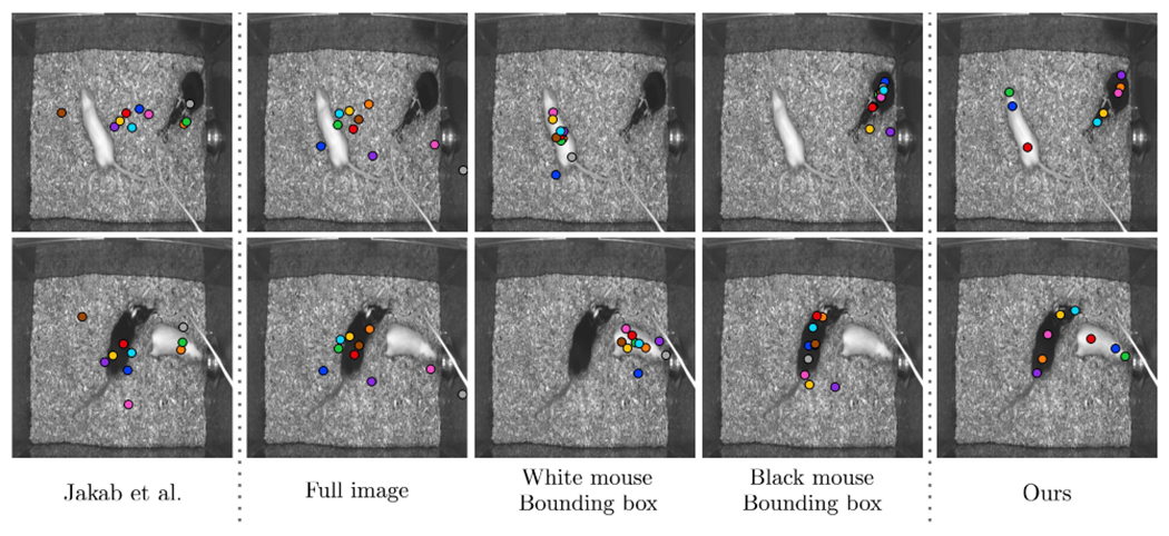 Figure 4.