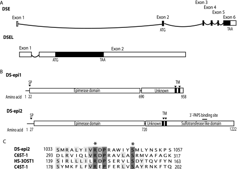 FIGURE 1.