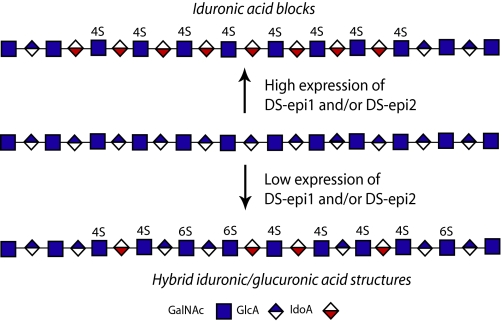 FIGURE 6.