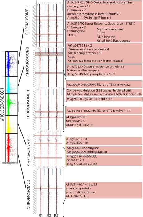 FIG. 4.—