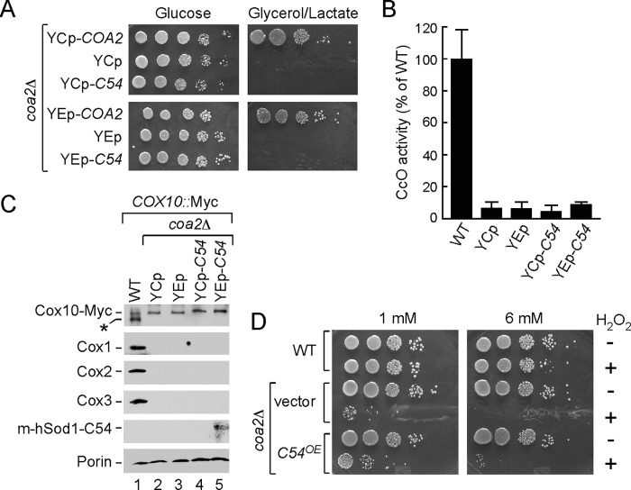 FIGURE 4.