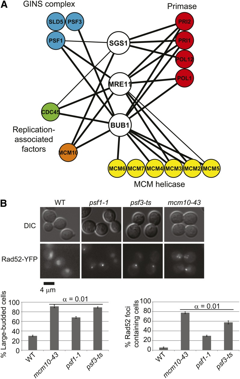 Figure 4 