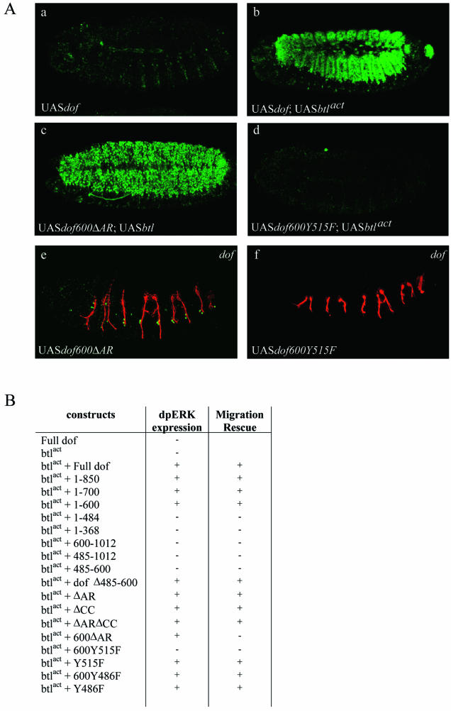 FIG.6.