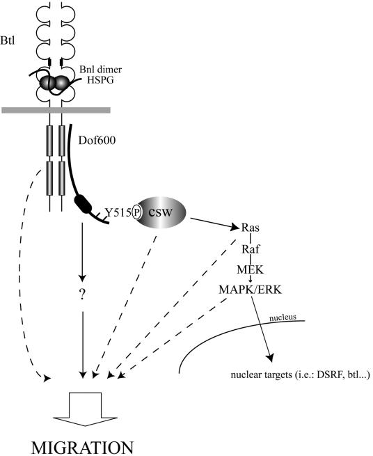 FIG. 7.