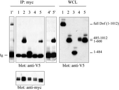 FIG. 4.