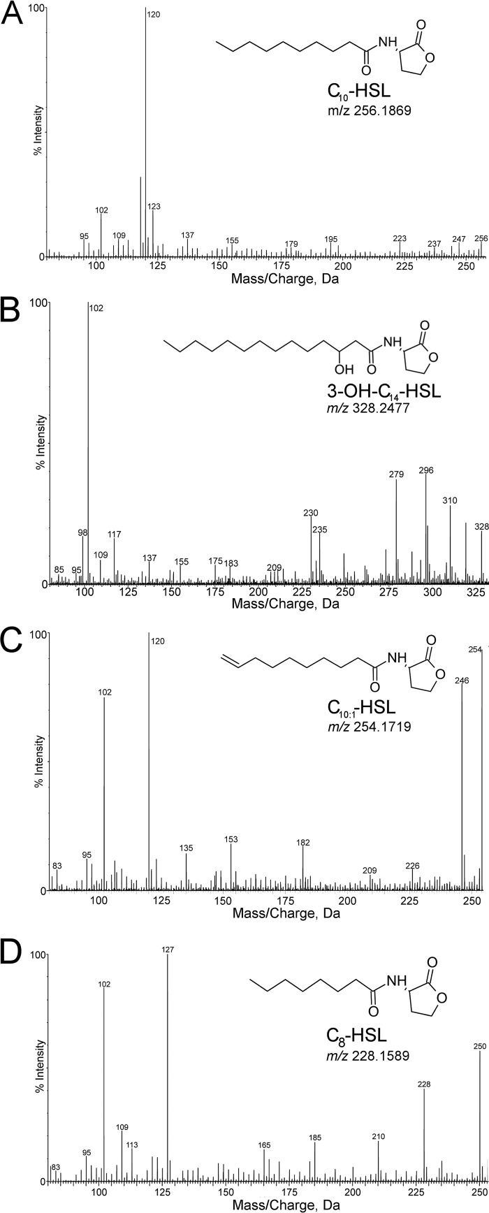 FIG 3