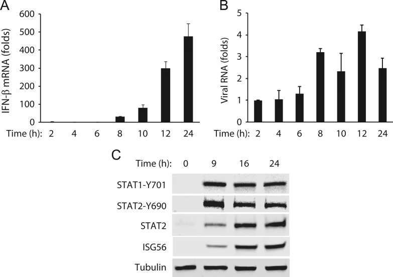 Fig. 6