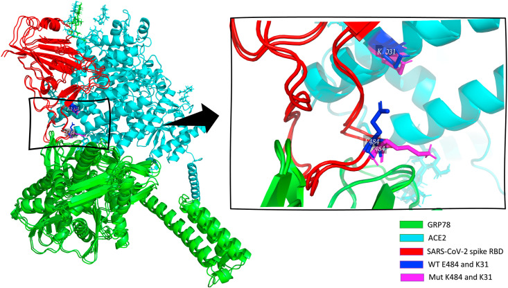 Fig. 1