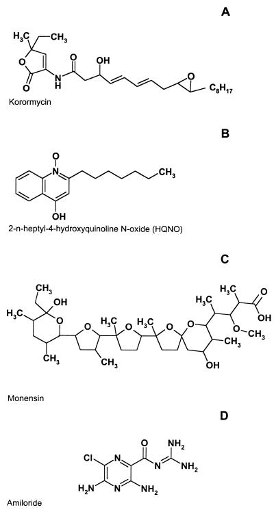 FIG. 5