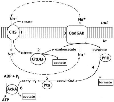 FIG. 4