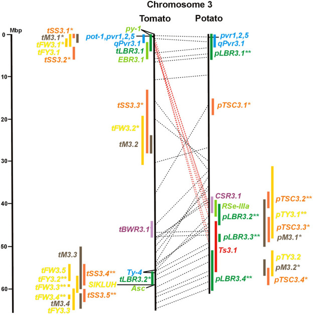 FIGURE 3