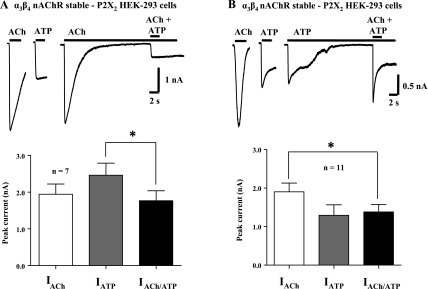 Fig. 9.