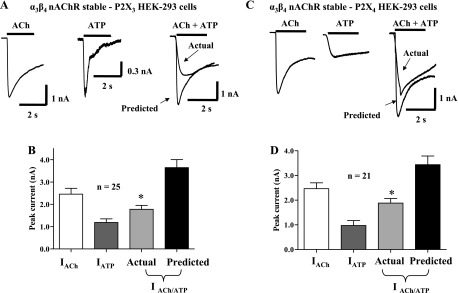 Fig. 8.