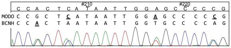 Figure 5