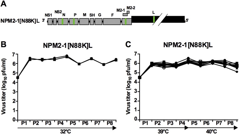 Fig. S6.