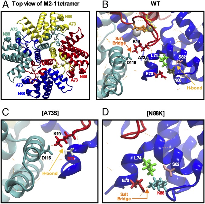 Fig. 6.