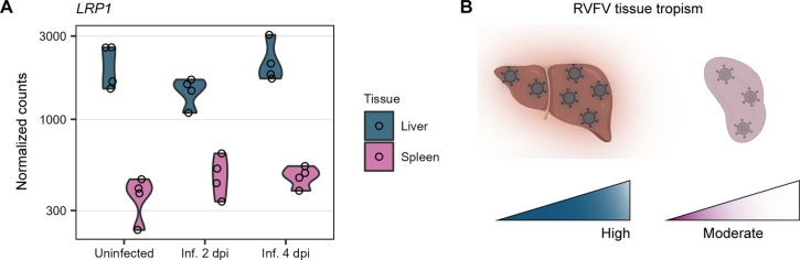 FIG 8