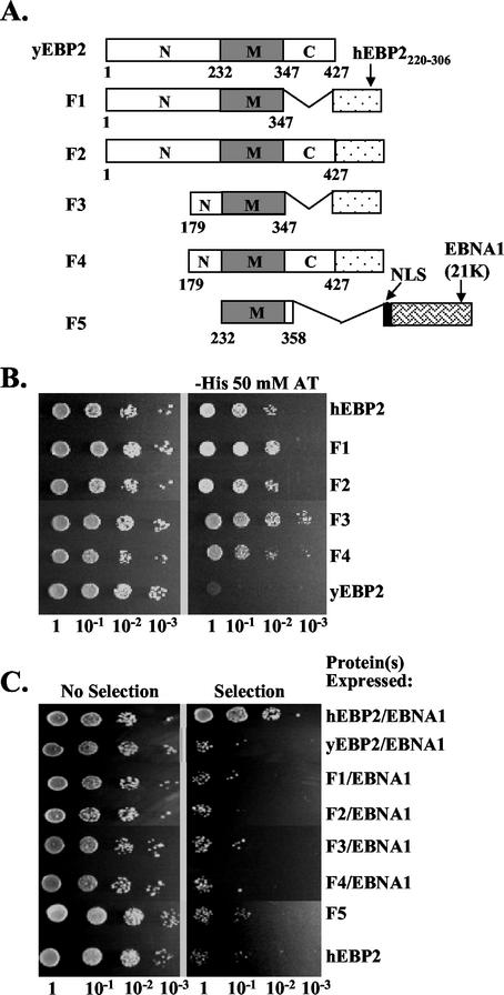 FIG. 7.