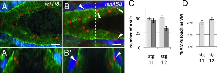 Fig. 7.