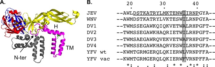 FIG 1