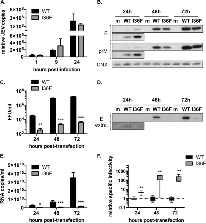 FIG 4