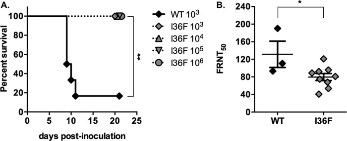 FIG 6