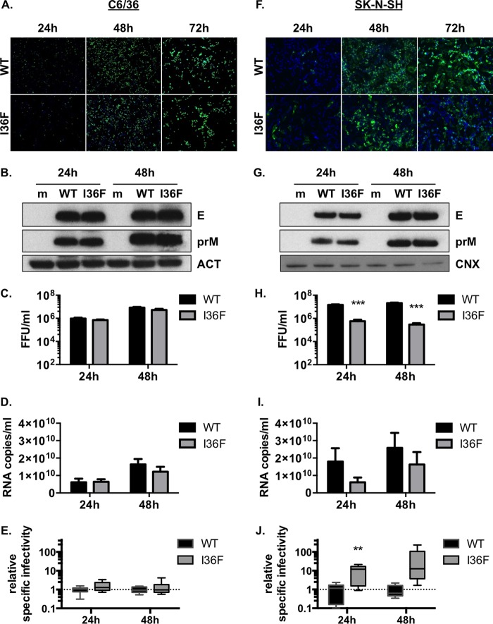 FIG 3