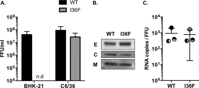 FIG 2