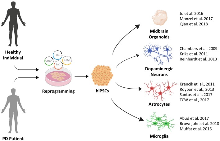 Figure 1